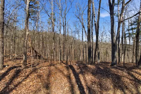 000 County Road 158, Gainesville, MO 65655 photo 37