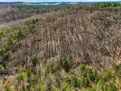 000 County Road 158, Gainesville, MO 65655 photo 28
