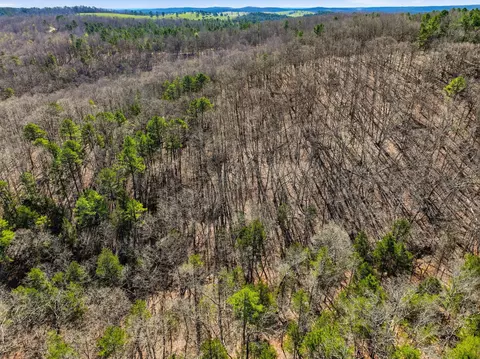 000 County Road 158, Gainesville, MO 65655 photo 27