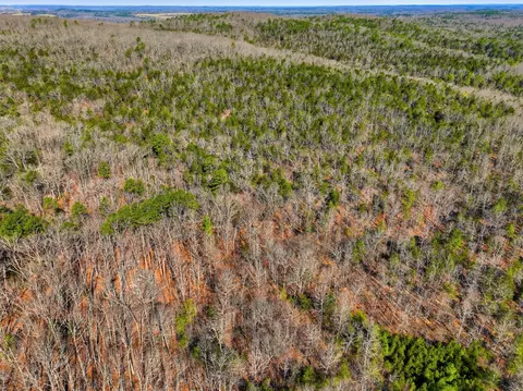 000 County Road 158, Gainesville, MO 65655 photo 16