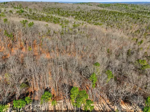 000 County Road 158, Gainesville, MO 65655 photo 3