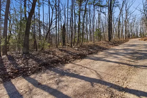 000 County Road 158, Gainesville, MO 65655 photo 14