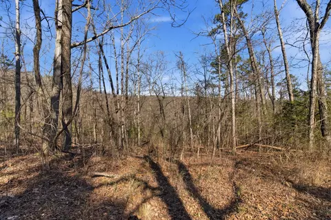 000 County Road 158, Gainesville, MO 65655 photo 35