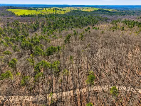 000 County Road 158, Gainesville, MO 65655 photo 10