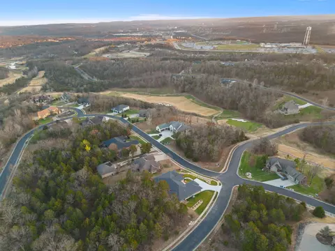 202 Palmer Dr, Branson, MO 65616 photo 80