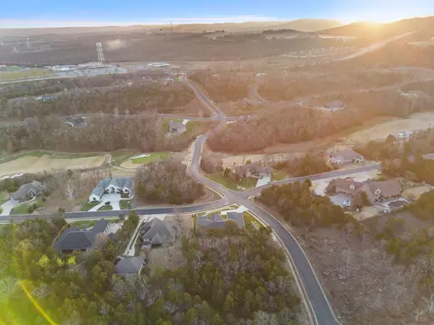 202 Palmer Dr, Branson, MO 65616 photo 82