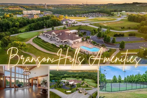 202 Palmer Dr, Branson, MO 65616 photo 5