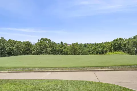 202 Palmer Dr, Branson, MO 65616 photo 89