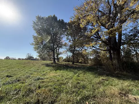 1981 Robinson Rd, Clever, MO 65631 photo 30