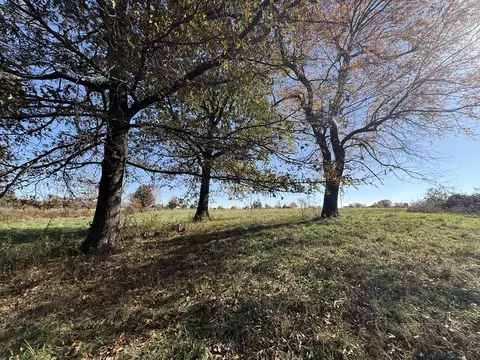 1981 Robinson Rd, Clever, MO 65631 photo 32