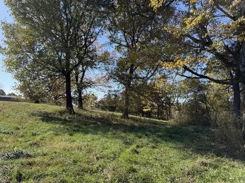 1981 Robinson Rd, Clever, MO 65631 photo 29