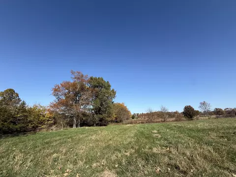 1981 Robinson Rd, Clever, MO 65631 photo 36