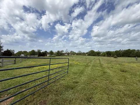 1981 Robinson Rd, Clever, MO 65631 photo 59