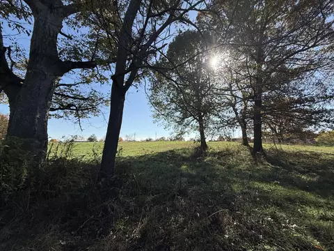 1981 Robinson Rd, Clever, MO 65631 photo 31