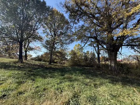 1981 Robinson Rd, Clever, MO 65631 photo 34