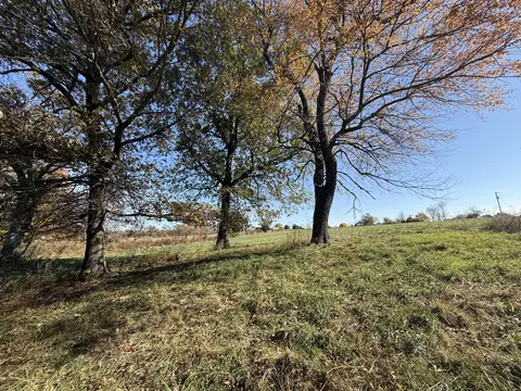 1981 Robinson Rd, Clever, MO 65631 photo 33