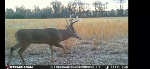 0000 SE 80th Rd, Jasper, MO 64755 photo 57