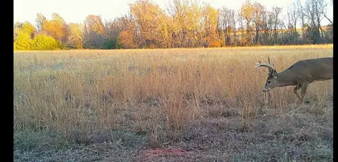 0000 SE 80th Rd, Jasper, MO 64755 photo 51