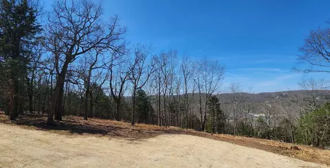 711 Crows Nest Trl, Branson, MO 65616 photo 7
