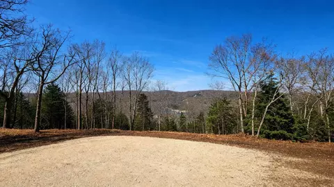 711 Crows Nest Trl, Branson, MO 65616 photo 3
