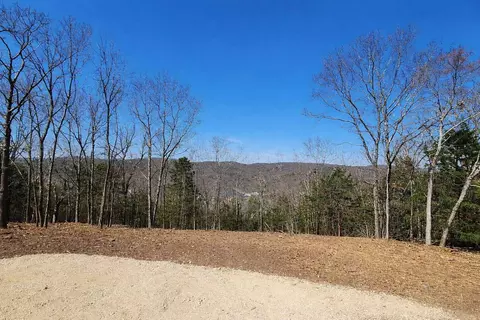 711 Crows Nest Trl, Branson, MO 65616 photo 6