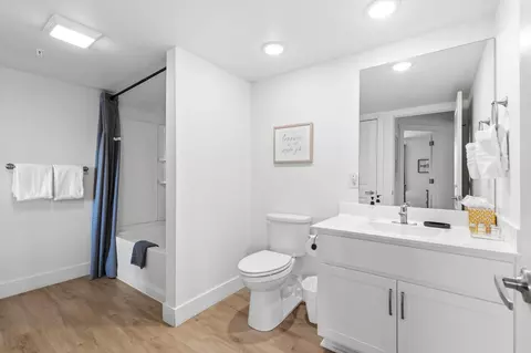 Bath - 403 Veterans Blvd, Branson, MO 65616 photo 6 of 7