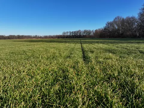 160 East Hwy, Lamar, MO 64759 photo 4