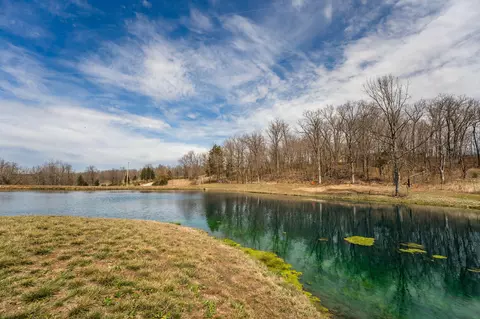 View/Area - 1489 E 568th Rd, Brighton, MO 65617 photo 18 of 27