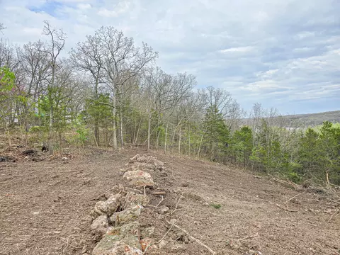 00 Easy St, Pittsburg, MO 65724 photo 3