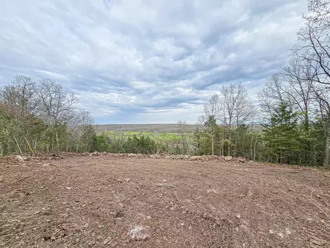 00 Easy St, Pittsburg, MO 65724 photo 6
