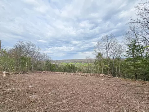00 Easy St, Pittsburg, MO 65724 photo 7