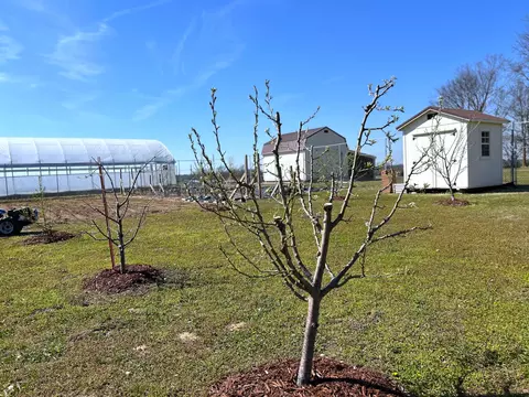 29990 S 2725 Rd # B, Sheldon, MO 64784 photo 54