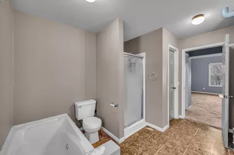 Bath - 105 Pennycuick Dr, Mountain View, MO 65548 photo 2 of 4