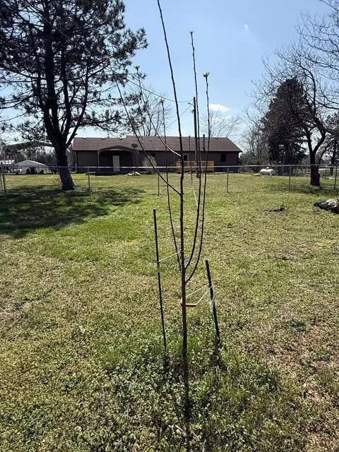 Exterior - 12223 Nodaway Ln, Plato, MO 65552 photo 9 of 14