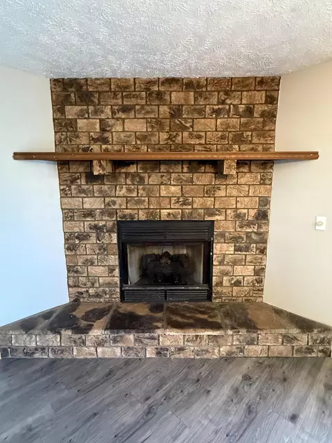 Living - 12223 Nodaway Ln, Plato, MO 65552 photo 3 of 4