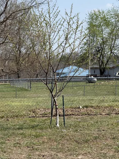 Other - 12223 Nodaway Ln, Plato, MO 65552 photo 5 of 5