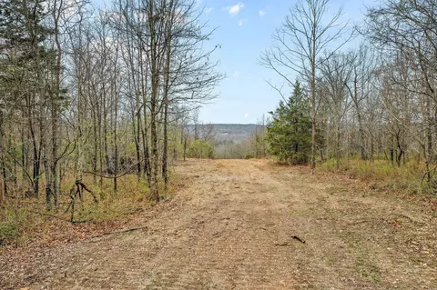 00 W Beech Ln, Brighton, MO 65617 photo 9