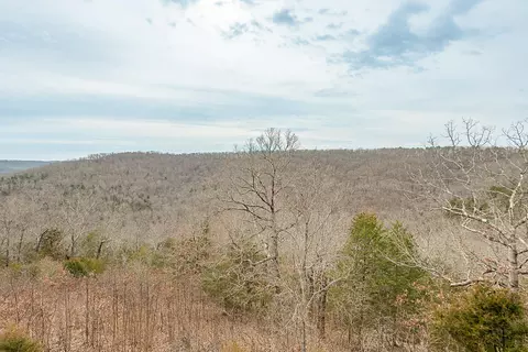 1549 Red Bridge Rd, Ozark, MO 65721 photo 99