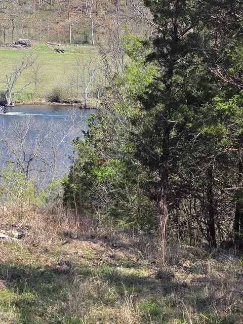 000 Beeler Rd, Branson, MO 65616 photo 11