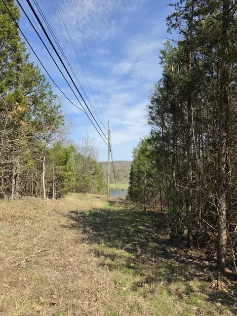 000 Beeler Rd, Branson, MO 65616 photo 8