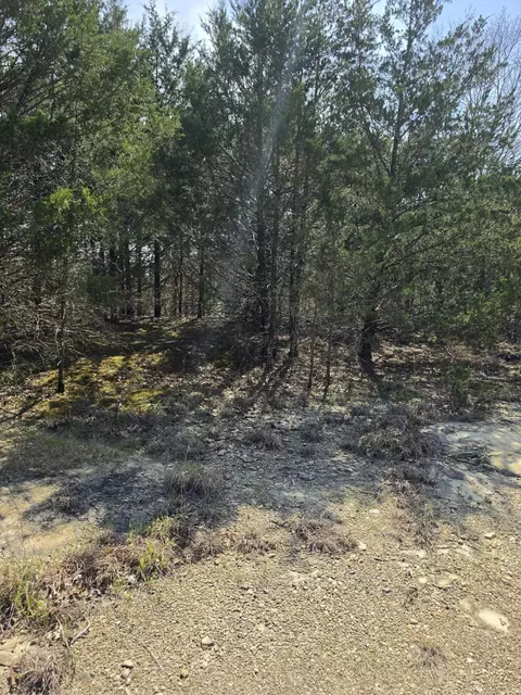 000 Beeler Rd, Branson, MO 65616 photo 13