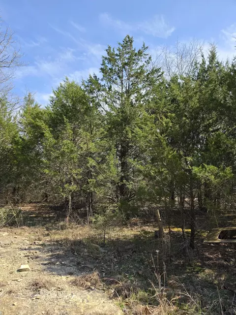 000 Beeler Rd, Branson, MO 65616 photo 6