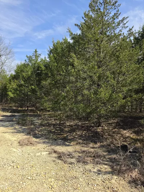 000 Beeler Rd, Branson, MO 65616 photo 5