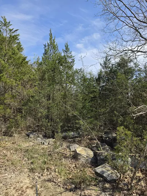 000 Beeler Rd, Branson, MO 65616 photo 7