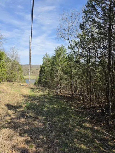 000 Beeler Rd, Branson, MO 65616 photo 9