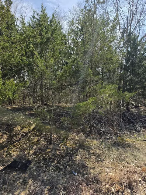000 Beeler Rd, Branson, MO 65616 photo 16