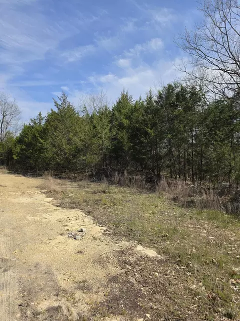 000 Beeler Rd, Branson, MO 65616 photo 3