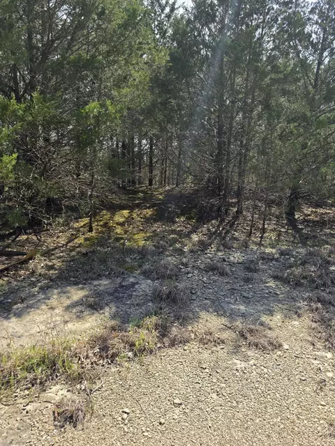 000 Beeler Rd, Branson, MO 65616 photo 15