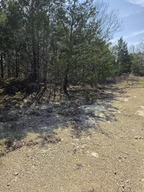 000 Beeler Rd, Branson, MO 65616 photo 14