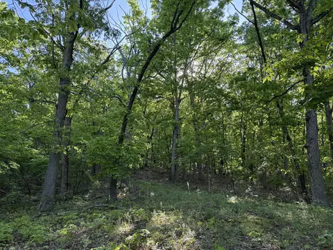 13080 County Road Ee, Cabool, MO 65689 photo 28